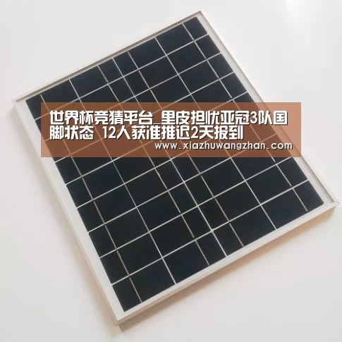 世界杯竞猜平台官网