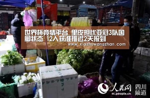 世界杯下注入口