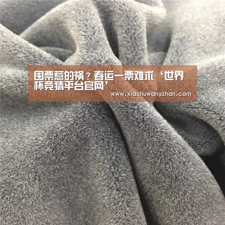 囤票惹的祸?春运一票难求‘世界杯竞猜平台官网’(图2) 世界杯竞猜平台