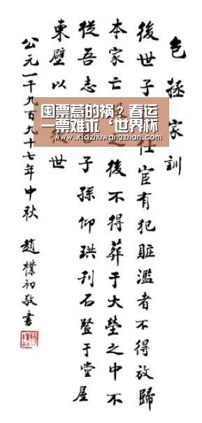 囤票惹的祸?春运一票难求‘世界杯竞猜平台官网’(图3) 世界杯竞猜平台