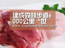 建成森林步道6000公里“世界杯体彩竞猜”(图4) 世界杯下注入口